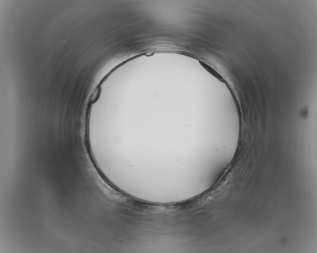 X0000089921195200707271729