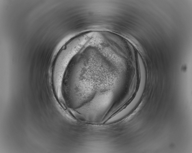 X0000089921196200707271729