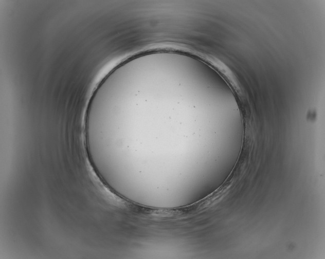 X0000089921199200707271729