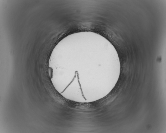 X0000089921201200707271729