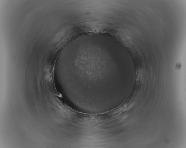 X0000089921202200707271729