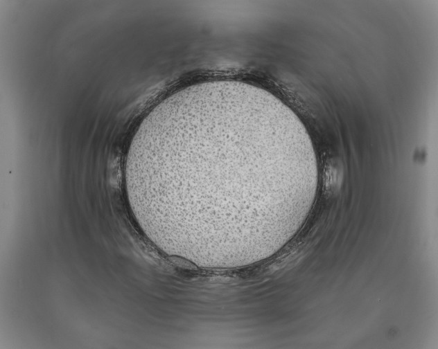 X0000089921204200707271729