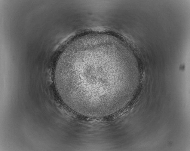 X0000089921205200707271729