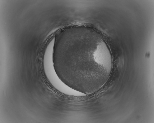 X0000089921206200707271729