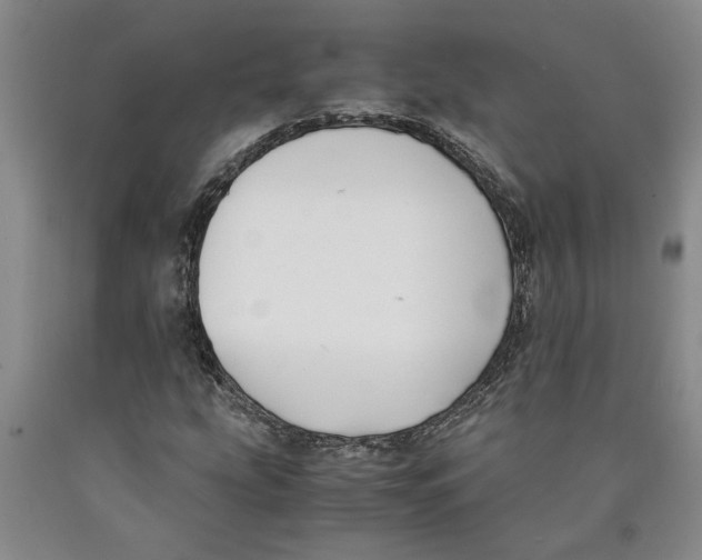 X0000089921207200707271729