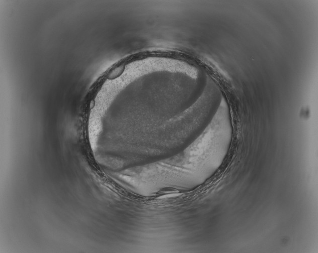 X0000089921208200707271729