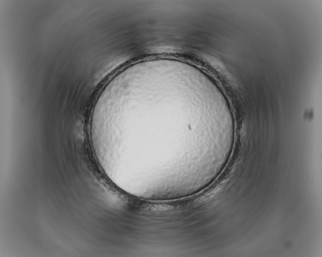 X0000089921209200707271729