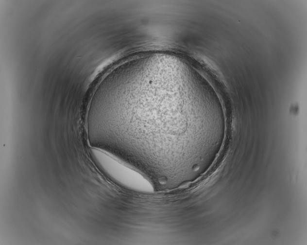 X0000089921210200707271729