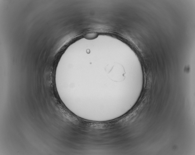 X0000089921211200707271729