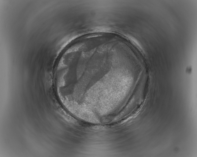 X0000089921212200707271729