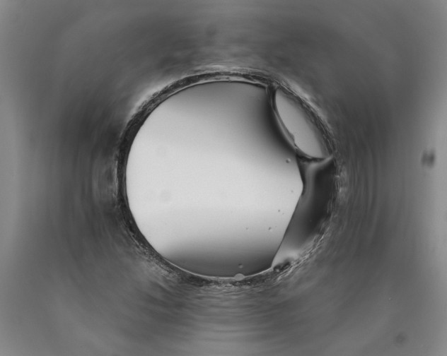 X0000089921214200707271729