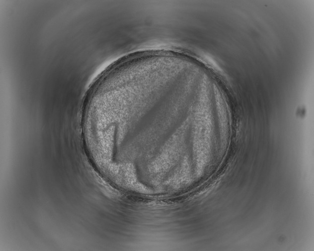 X0000089921216200707271729