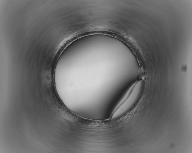 X0000089921218200707271729