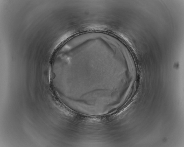 X0000089921219200707271729