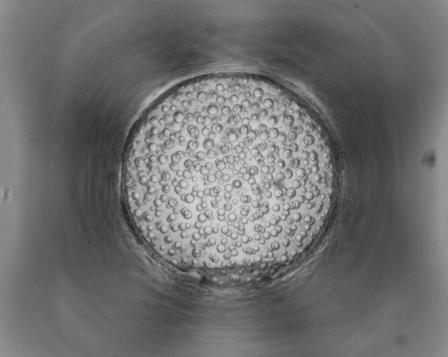 X0000089921220200707271729