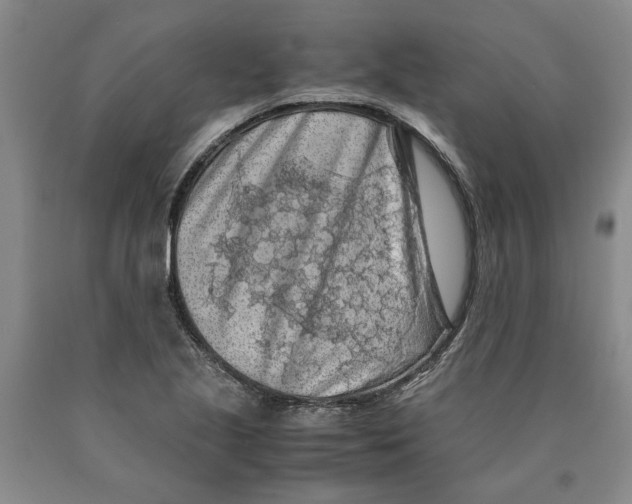 X0000089921221200707271729