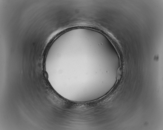 X0000089921222200707271729