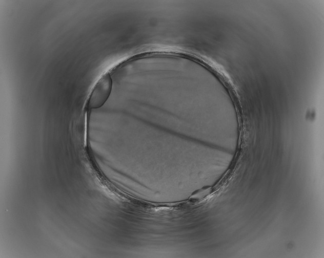 X0000089921223200707271729