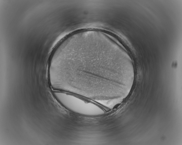 X0000089921224200707271729