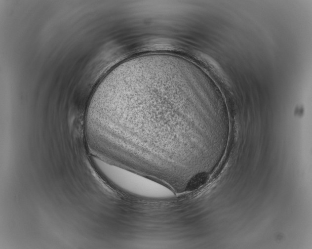 X0000089921225200707271729