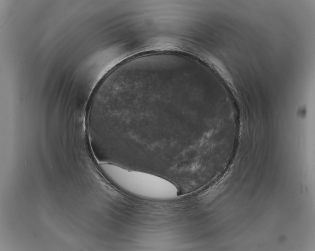 X0000089921226200707271729