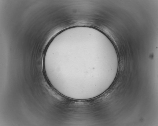 X0000089921227200707271729