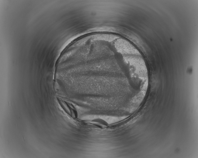 X0000089921228200707271729