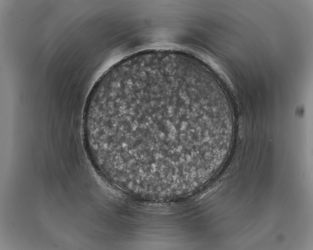 X0000089921229200707271729