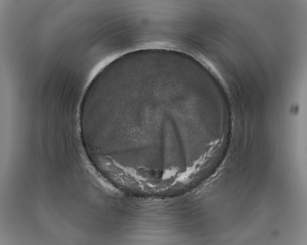 X0000089921230200707271729