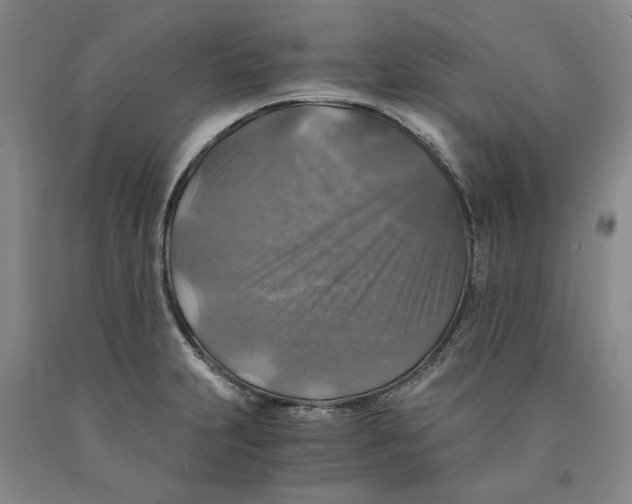 X0000089921231200707271729