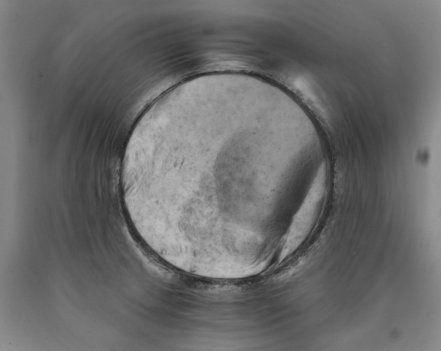 X0000089921233200707271729