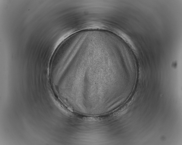 X0000089921234200707271729