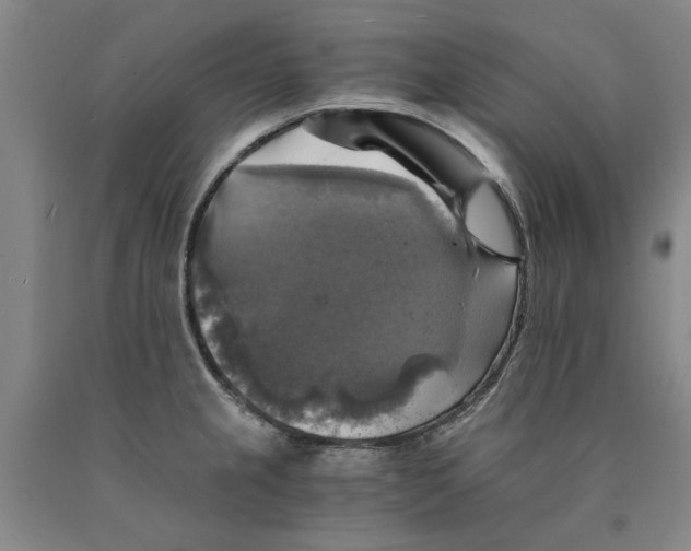 X0000089921237200707271729