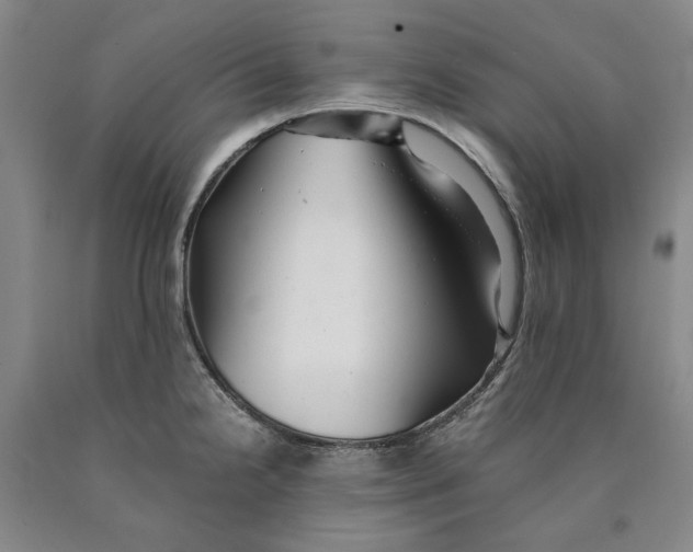 X0000089921238200707271729