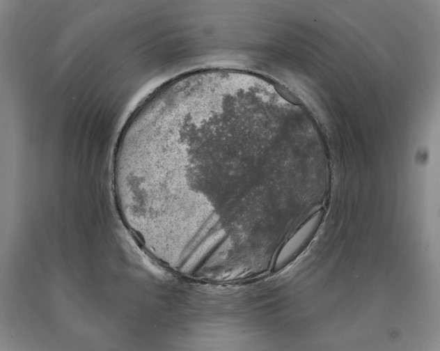 X0000089921240200707271729