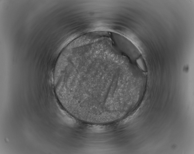 X0000089921241200707271729