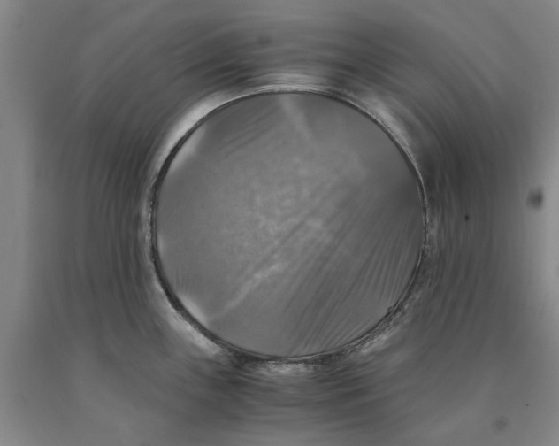 X0000089921243200707271729