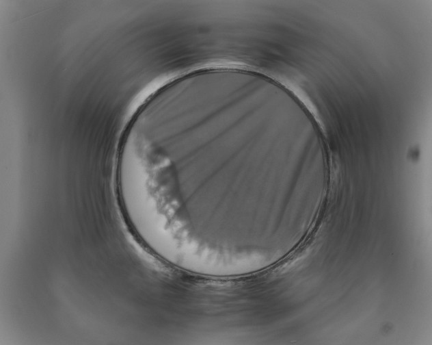 X0000089921245200707271729