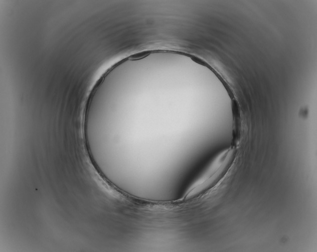 X0000089921246200707271729