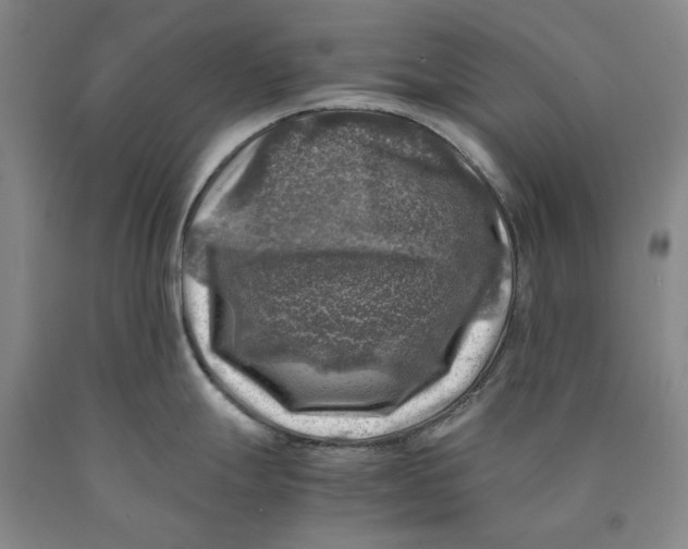 X0000089921247200707271729