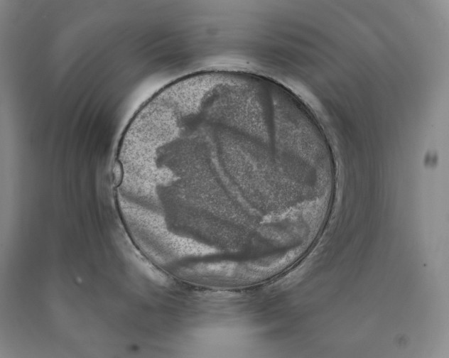 X0000089921248200707271729