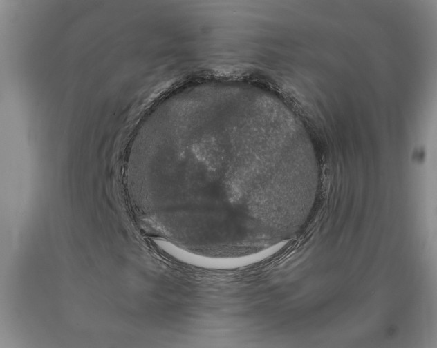 X0000089921249200707271729