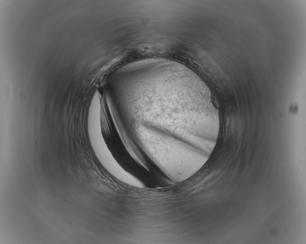 X0000089921250200707271729