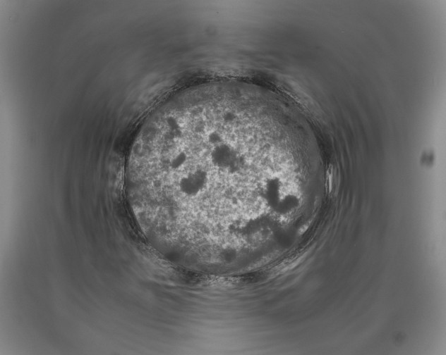 X0000089921251200707271729