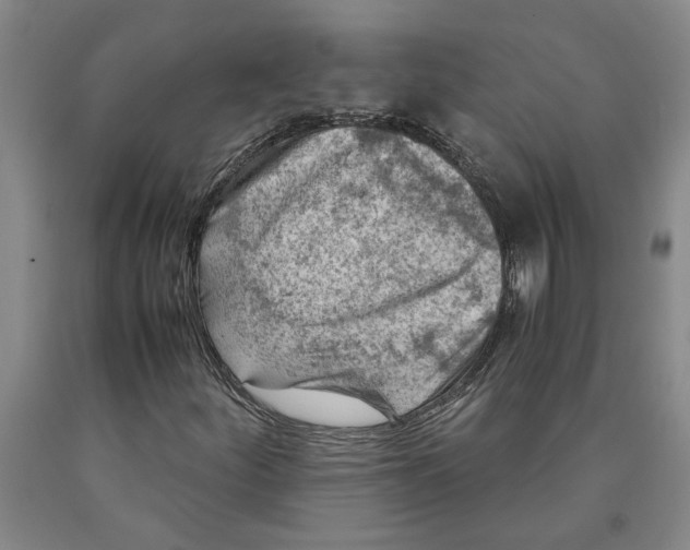 X0000089921252200707271729