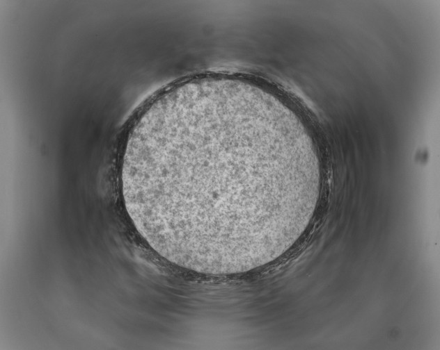 X0000089921256200707271729