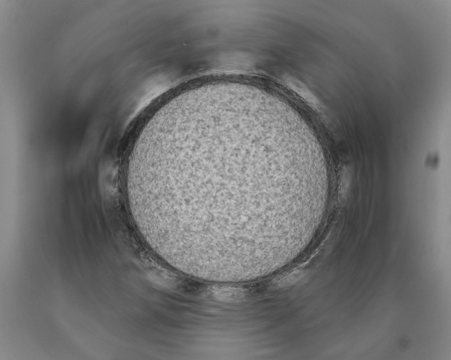 X0000089921258200707271729