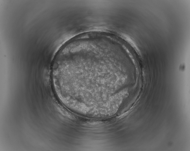 X0000089921260200707271729