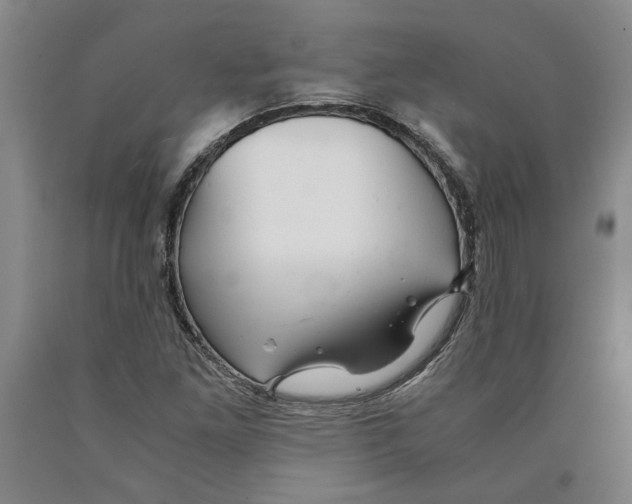 X0000089921261200707271729