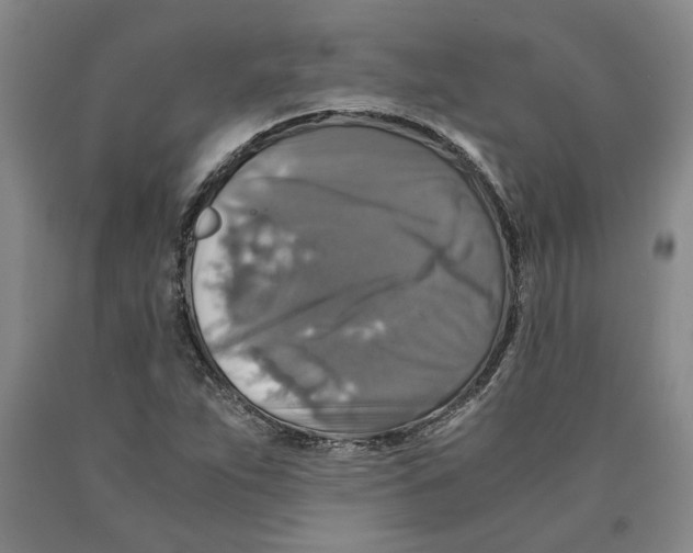 X0000089921263200707271729